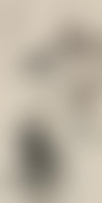 Landscape (preview)