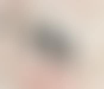 Peach Blossom And Two Birds (preview)