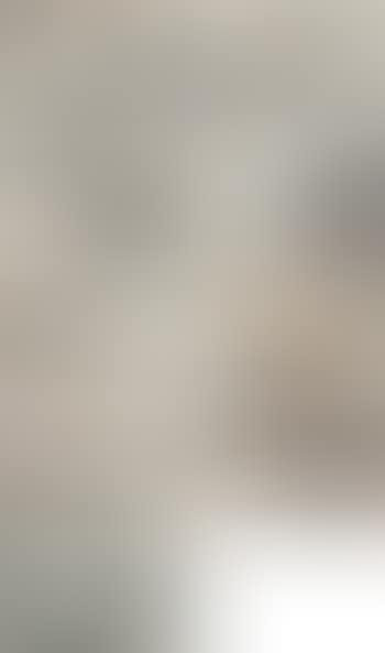 Landscapes (preview)