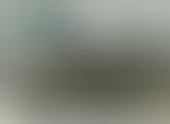 Landscape (preview)