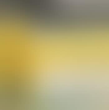 Yellow Trees Beside The River (preview)