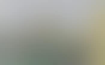 Punta della Dogana, Venezia (preview)
