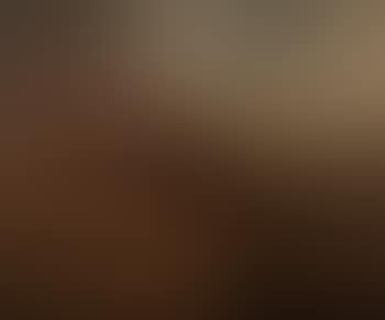 Le bourguignon (preview)