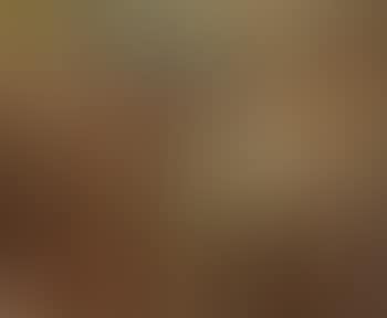 Safed landscape (preview)
