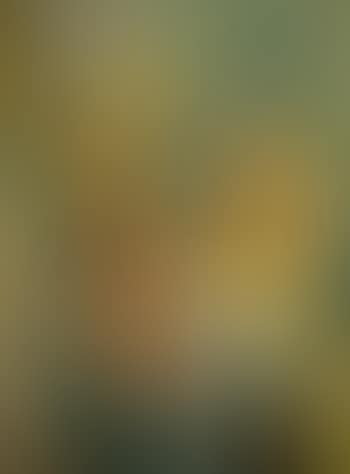 Urban landscape (preview)