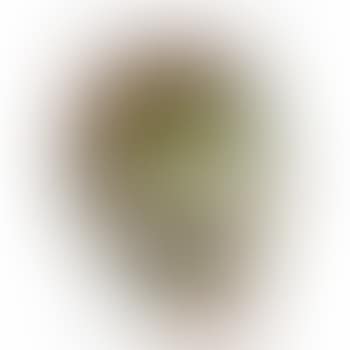 Spin painting (preview)