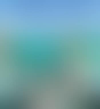 Paysage (preview)