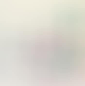Untitled (Stambecchi) (preview)