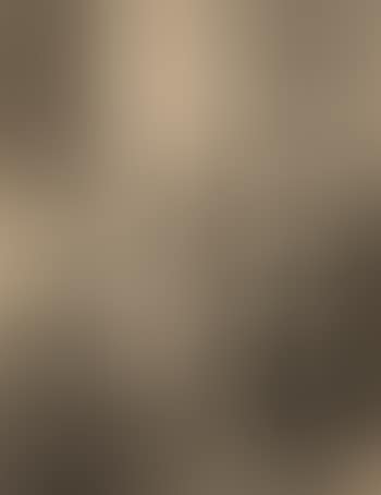 Illustrations for Nikolai Gogol's Dead souls (preview)