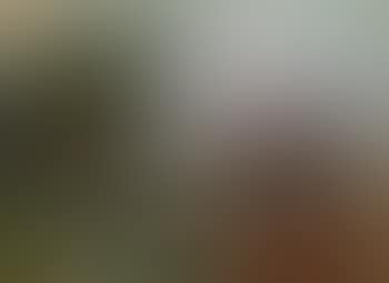 Morning (preview)
