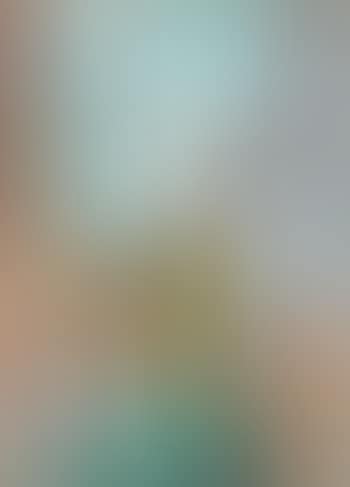 Venezia (preview)