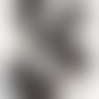 Chatterie (preview)