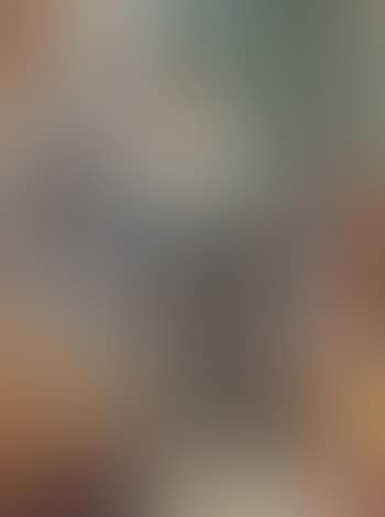 Portrait of a young woman (E T Barkova) (preview)