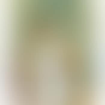 Frau in der Gartenlaube (preview)