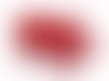 Cloned pig (preview)