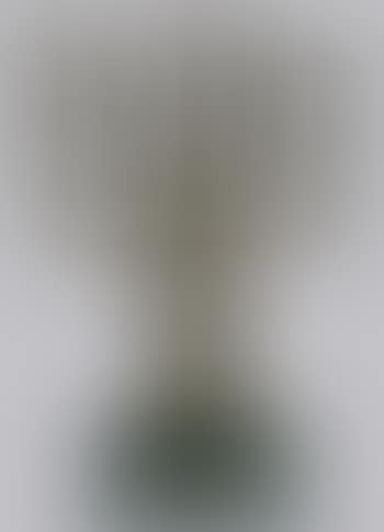 La menorah (preview)