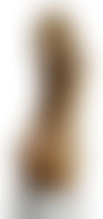 Amphore de Muse (preview)
