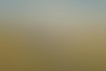 Paysage (preview)