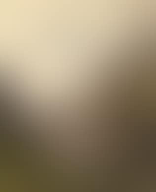 A Fjord Landscape (preview)