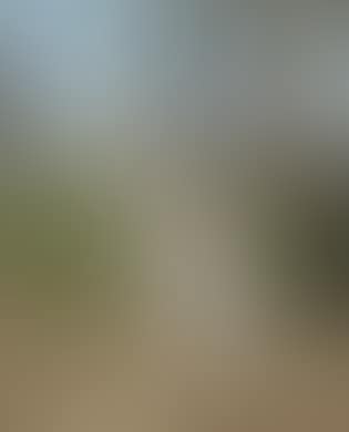 Hound in a Landscape (preview)