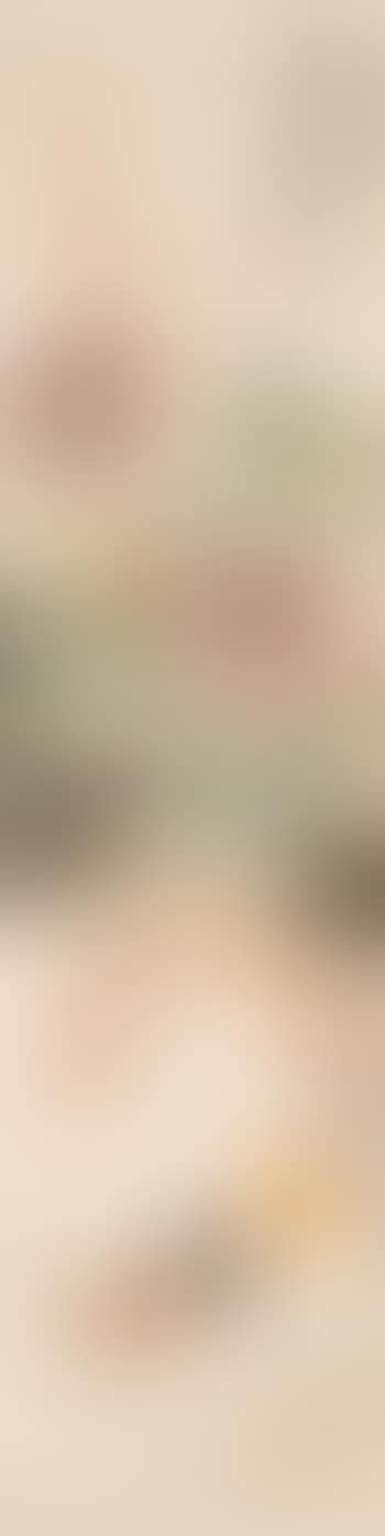 [Untitled] (preview)
