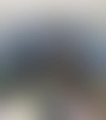 Robat pa sjøen (preview)