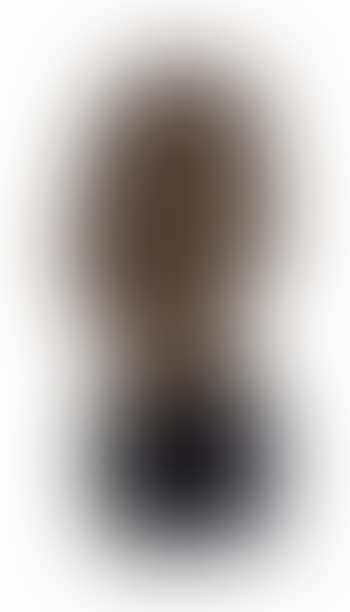 Head Of a Young Woman (preview)