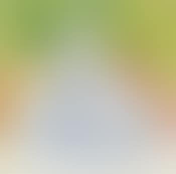 Le loup vert (preview)