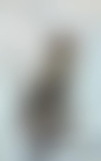 Hibou (preview)