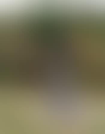 Pouce (preview)