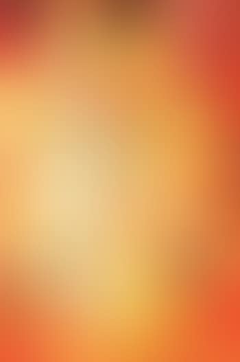 Flowers before flames (preview)