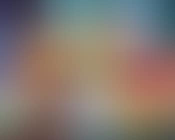 Vase de fleurs (preview)