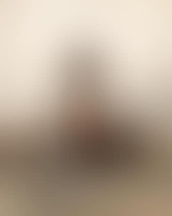Dalmantine, portrait of a seated peasant woman (preview)