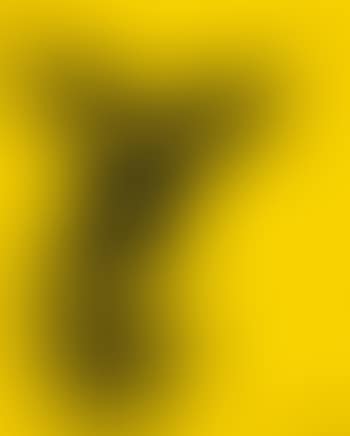 Squelette Et Moustache (preview)