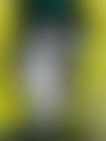 Clown Au Chapeau Vert Sur Fond Jaune (preview)