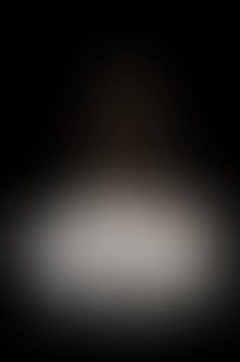 Églantines (preview)