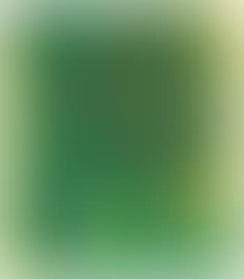 Ohne Titel (preview)