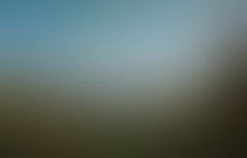 View Of The Grand Canal, Venice (preview)