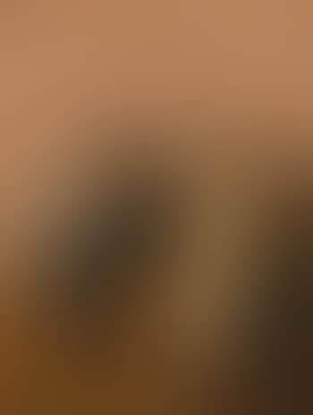 A Carnival Scene With Masked Figures (preview)