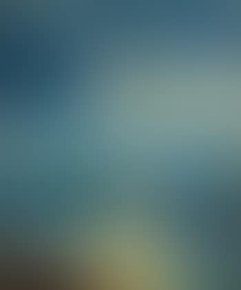 Moonlit Seaview (preview)