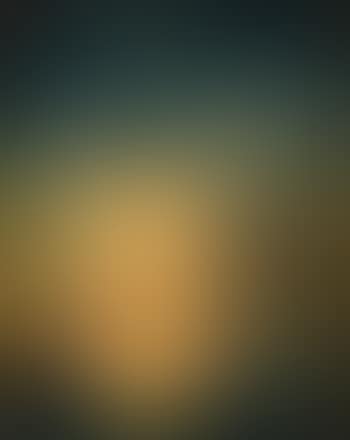 Evening Light Over The Fort (preview)