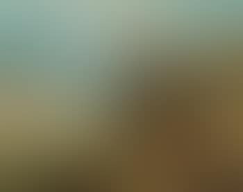 The Birth of Christ at Dürnstein (preview)