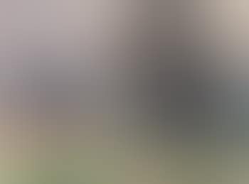 Landscape (preview)