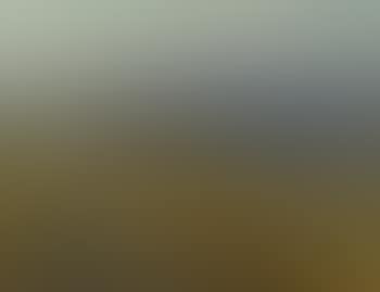 Deer in landscape (preview)