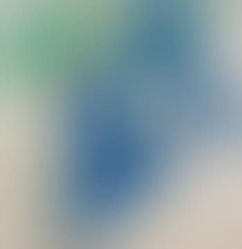 Blauer Baum (preview)