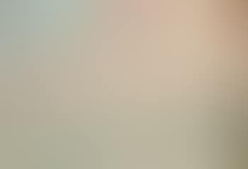 Venise (preview)