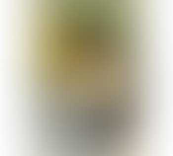 Handwork (preview)