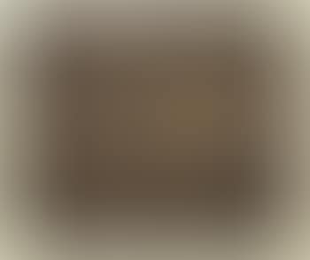 [Untitled] (preview)