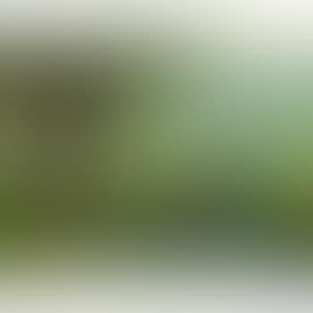 Saules (preview)