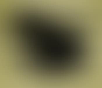 [Untitled] (preview)